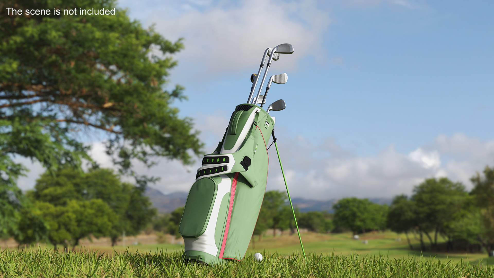 Golf Bag with Clubs 3D model