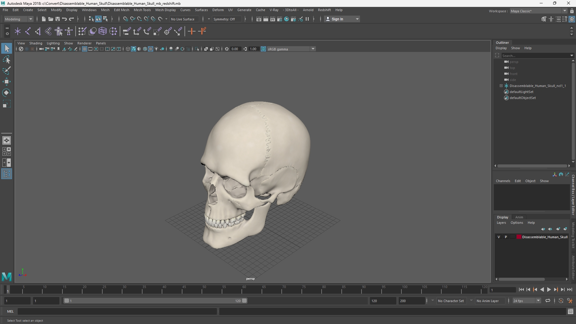 Disassemblable Human Skull - view 11