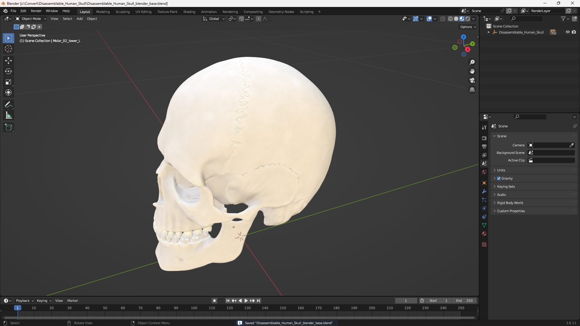 Disassemblable Human Skull - view 10