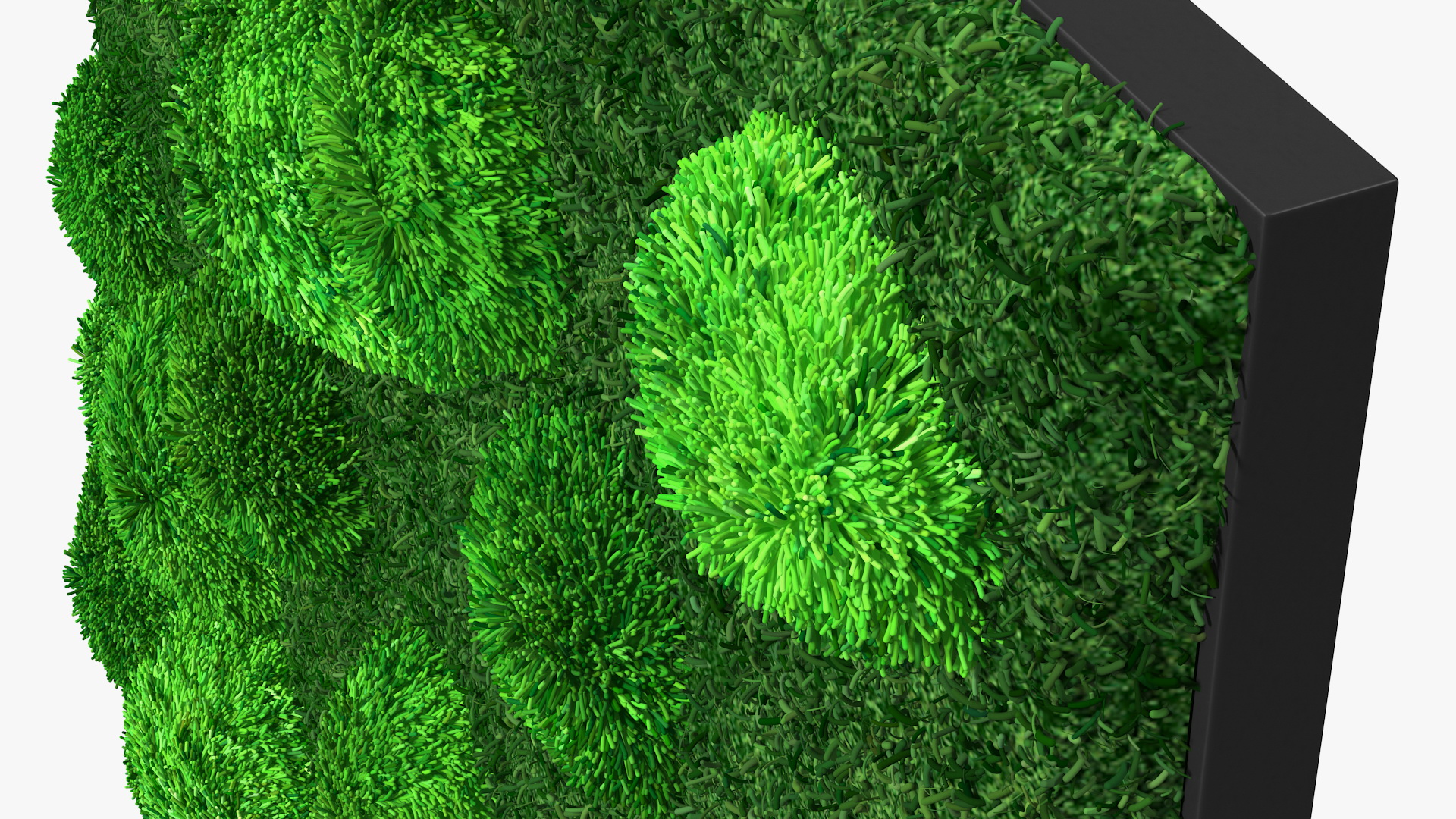 Evergreen Moss Vertical Garden Fur 3D model