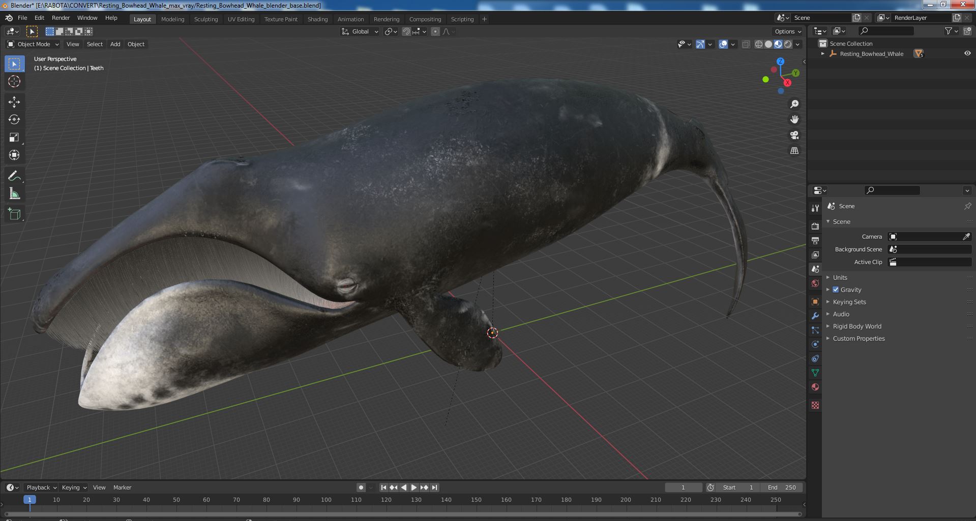 3D Resting Bowhead Whale