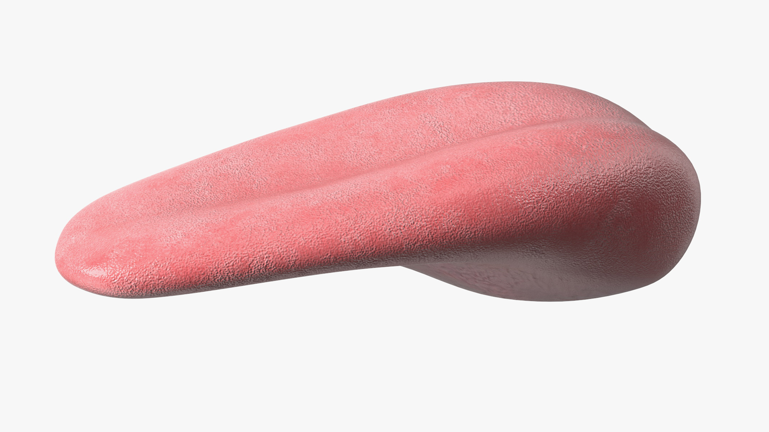 3D Human Tongue Rigged for Cinema 4D model