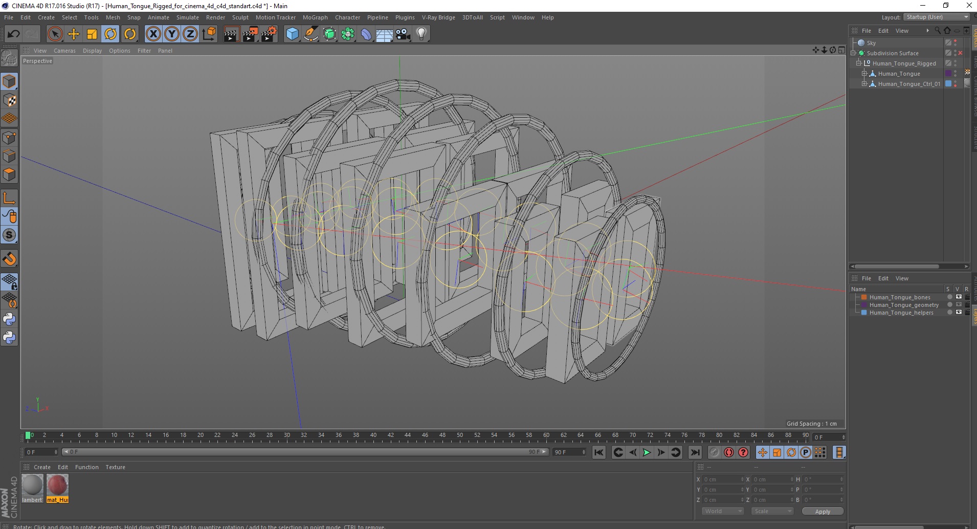 3D Human Tongue Rigged for Cinema 4D model