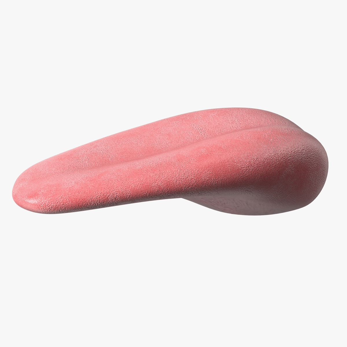 3D Human Tongue Rigged for Cinema 4D model