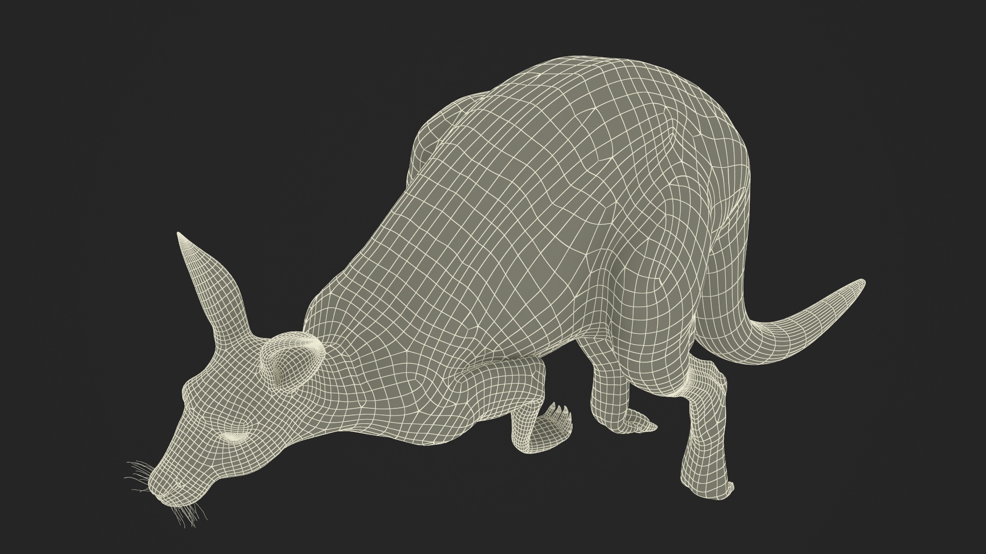 Kangaroo in Motion Fur 3D