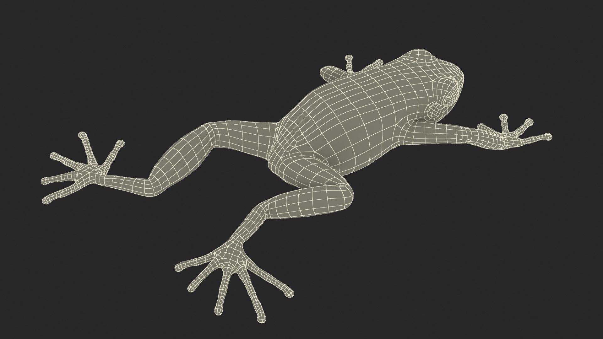 3D Mantella Frog model