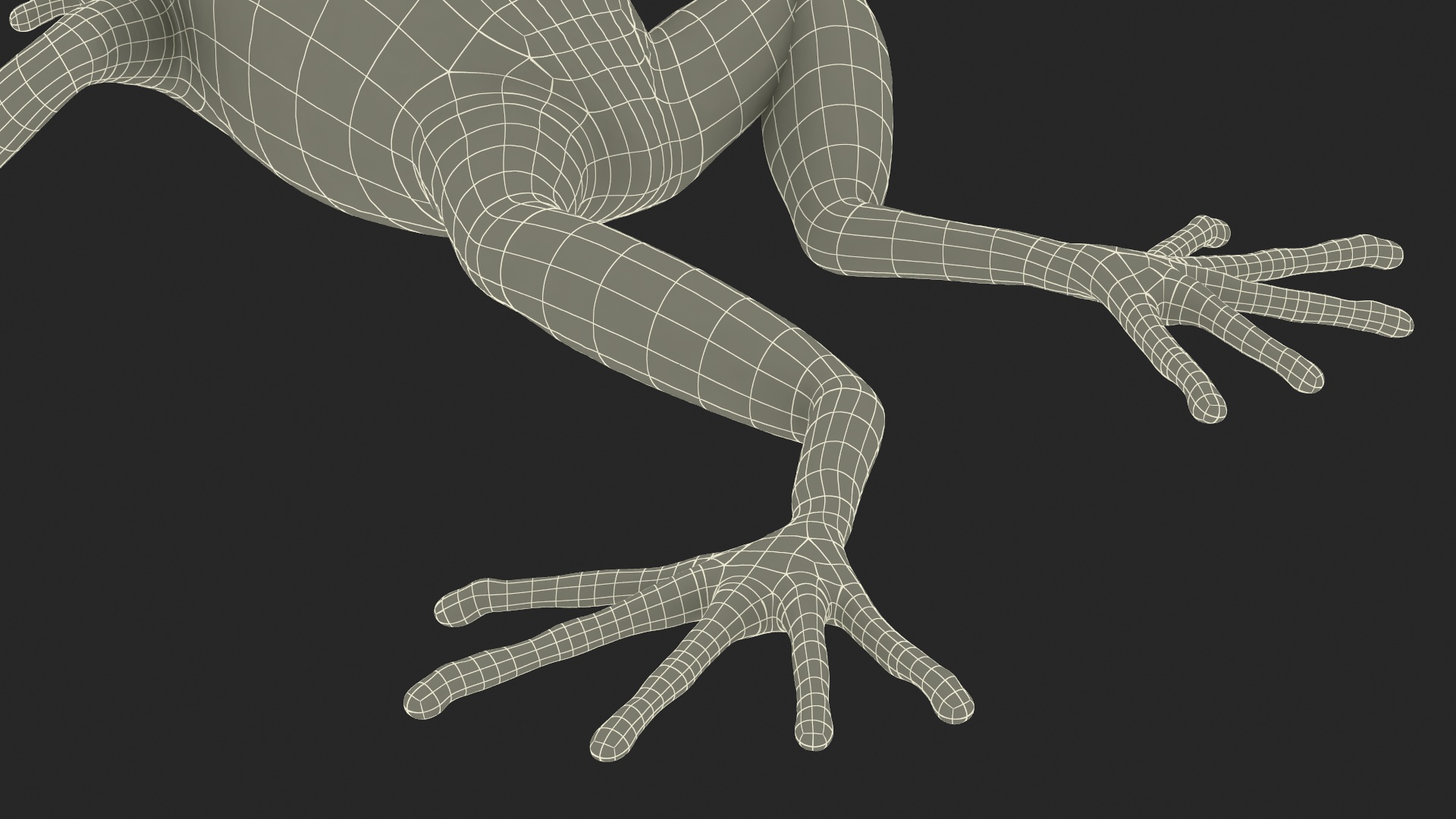 3D Mantella Frog model