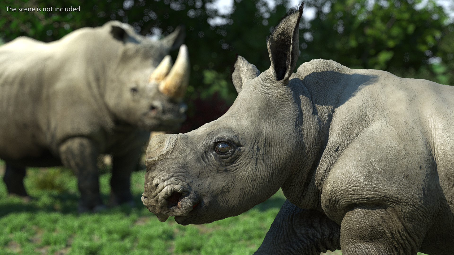 Rhino Baby Running Pose Fur 3D