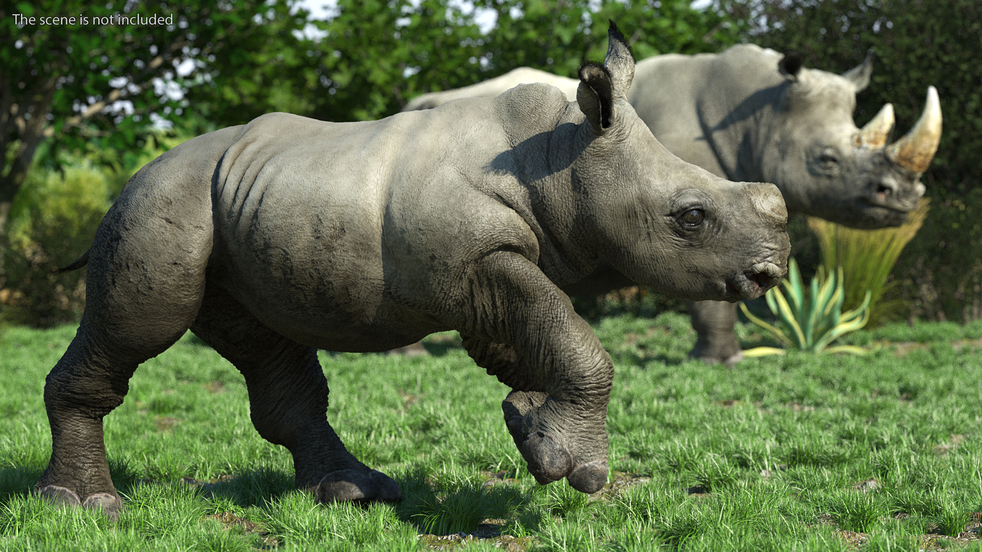 Rhino Baby Running Pose Fur 3D