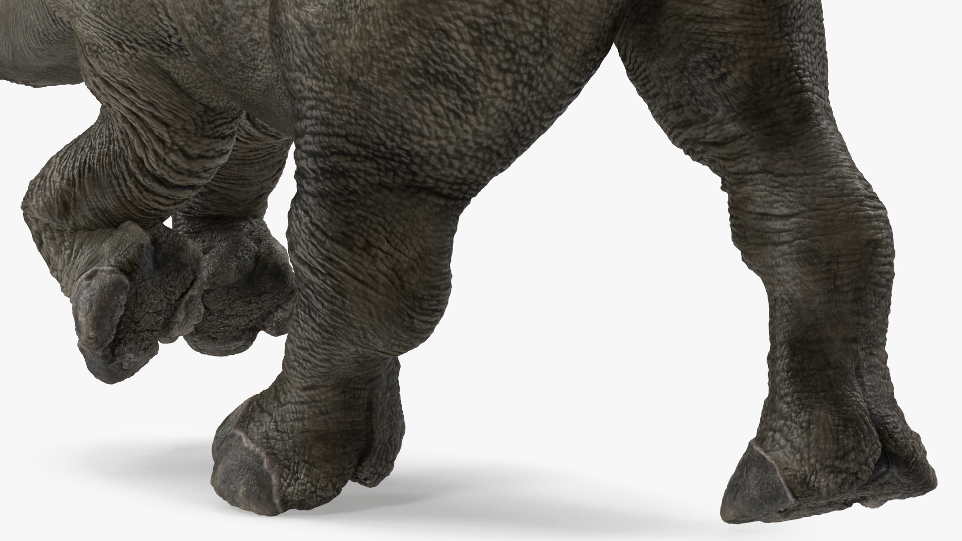 Rhino Baby Running Pose Fur 3D