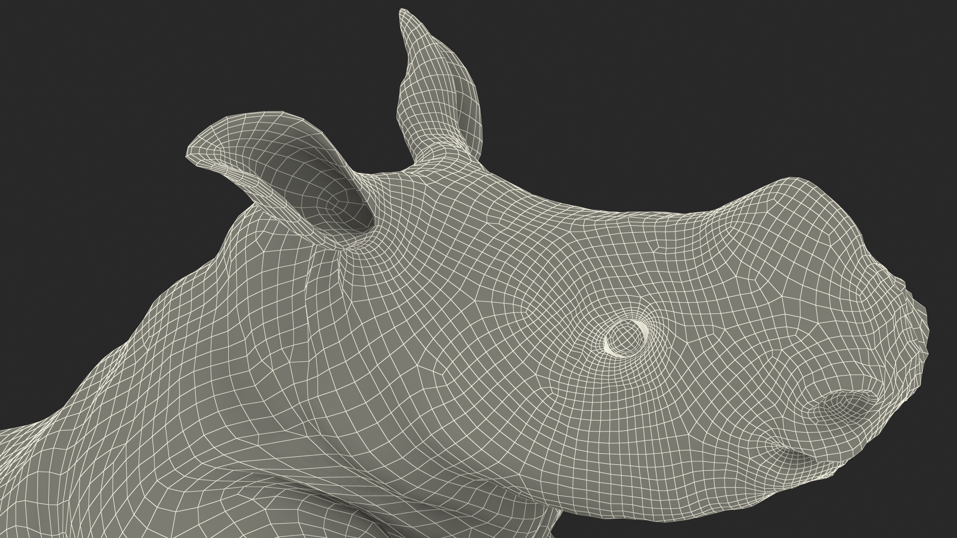 Rhino Baby Running Pose Fur 3D