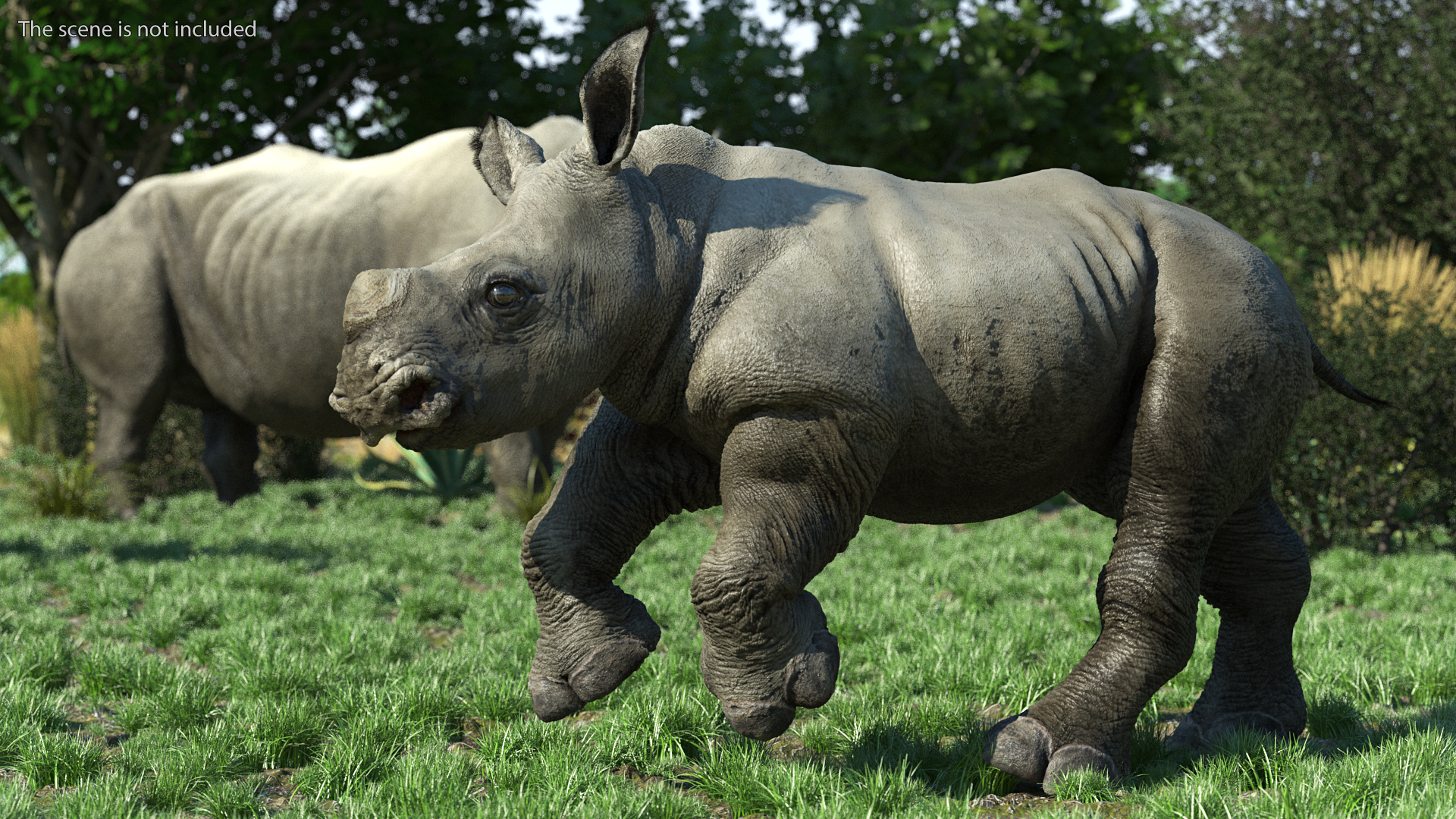 Rhino Baby Running Pose Fur 3D