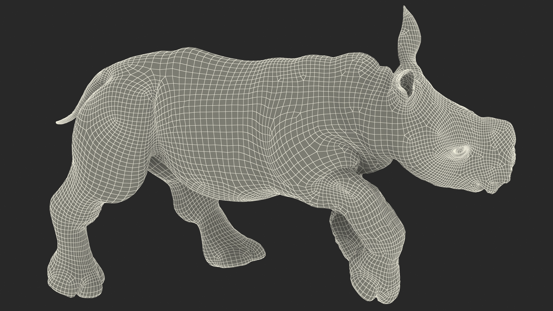 Rhino Baby Running Pose Fur 3D