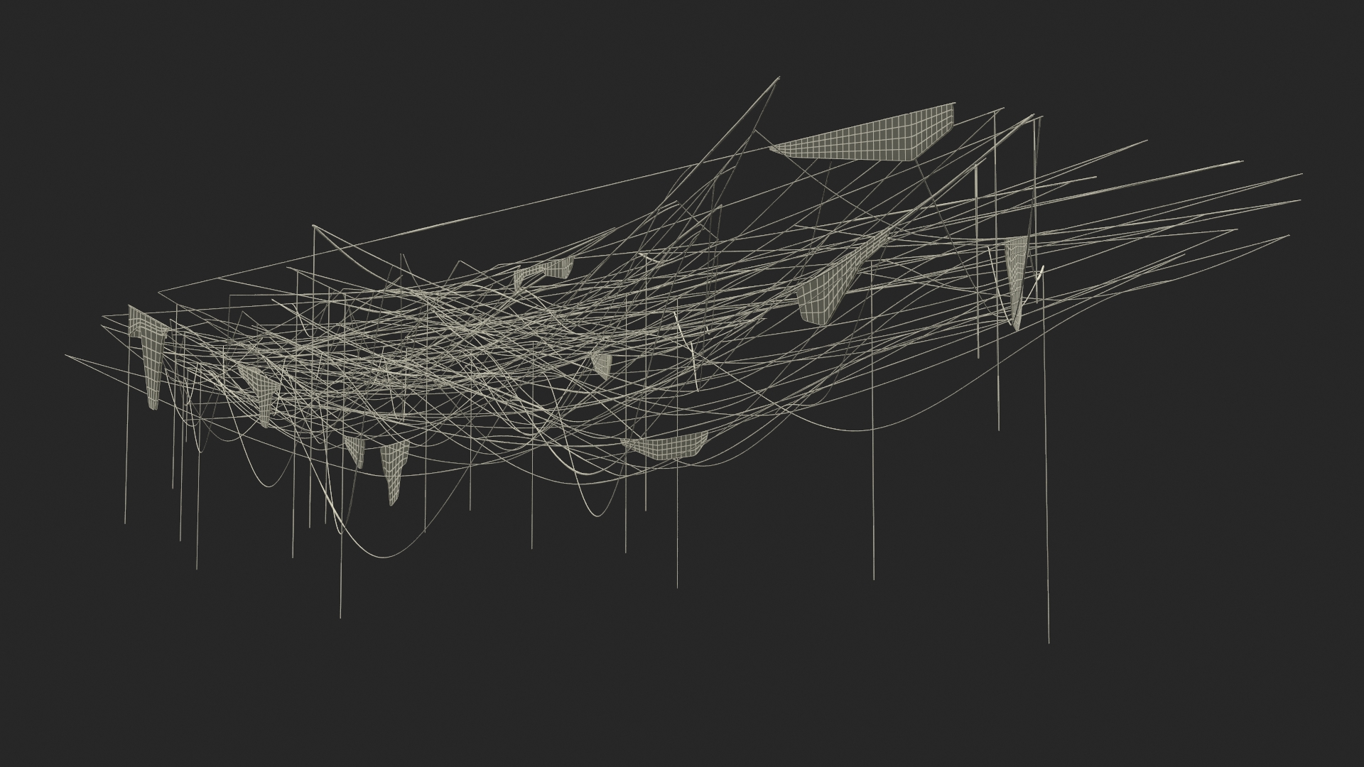 3D model Spider Web