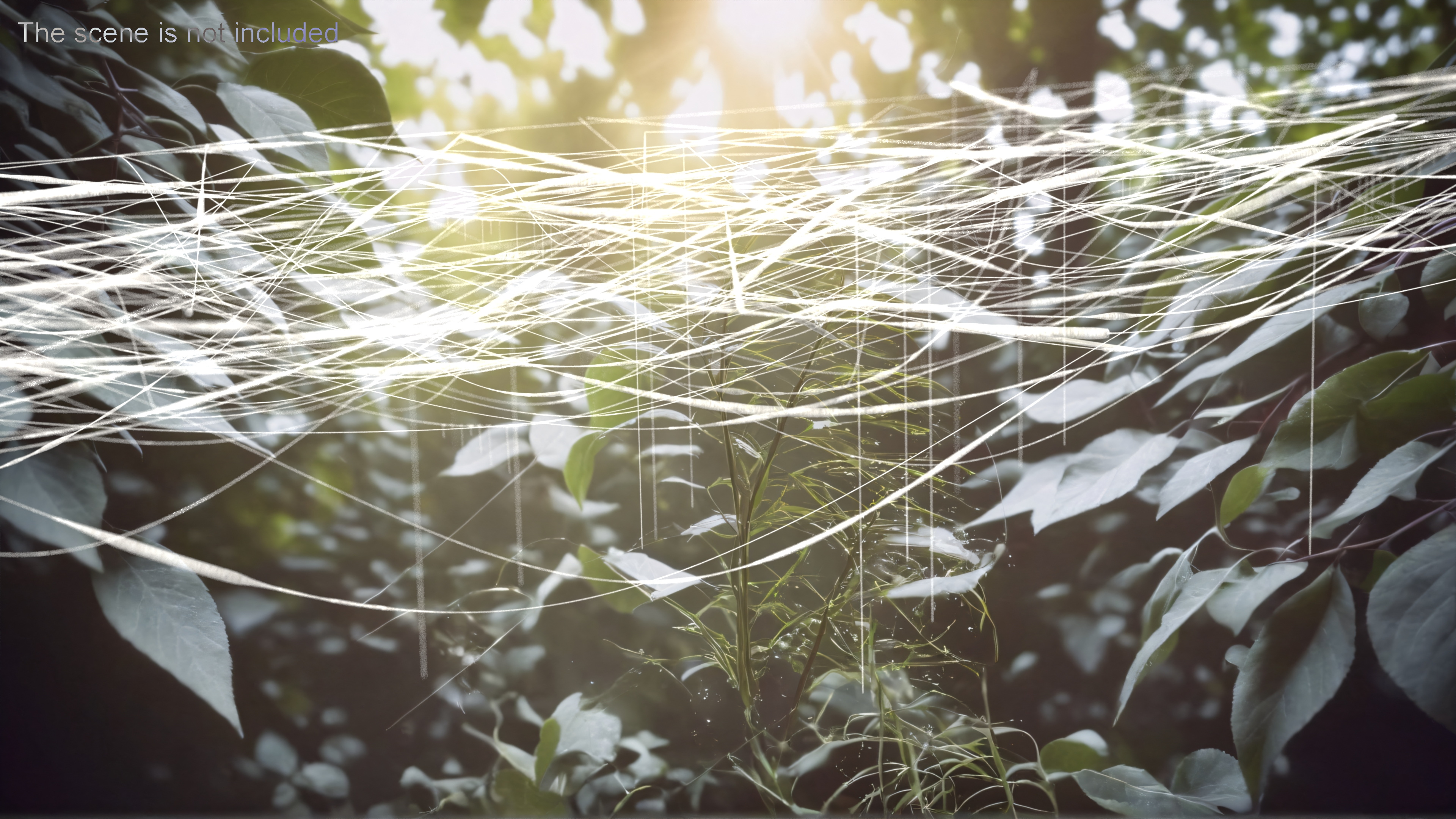 3D model Spider Web