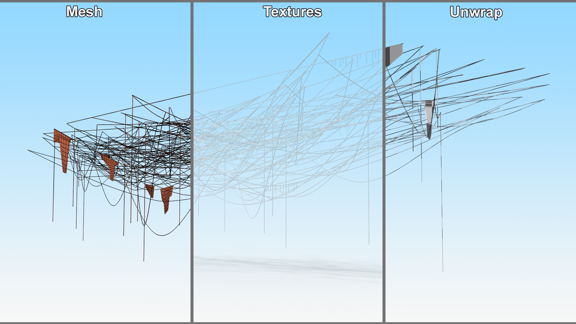 3D model Spider Web