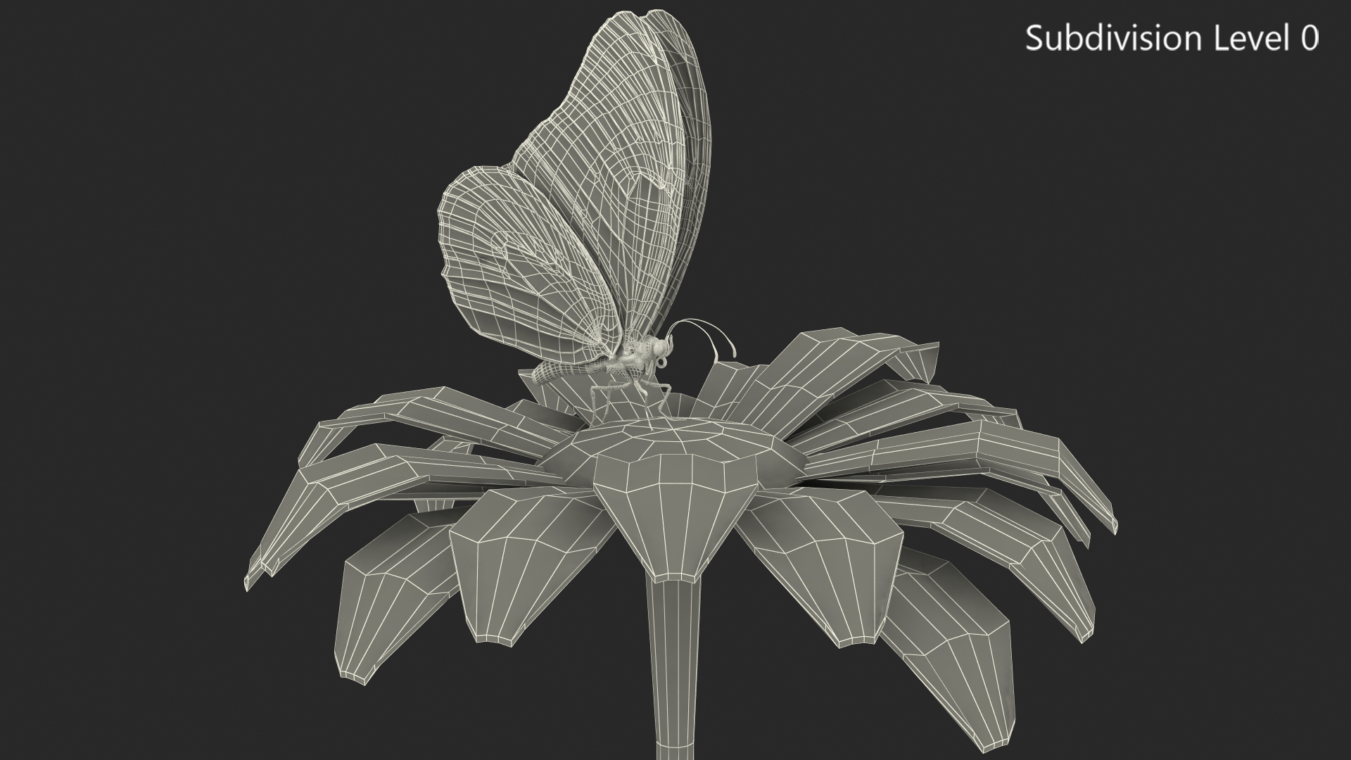 3D Animated Monarch Butterfly Collects Nectar Fur Rigged model