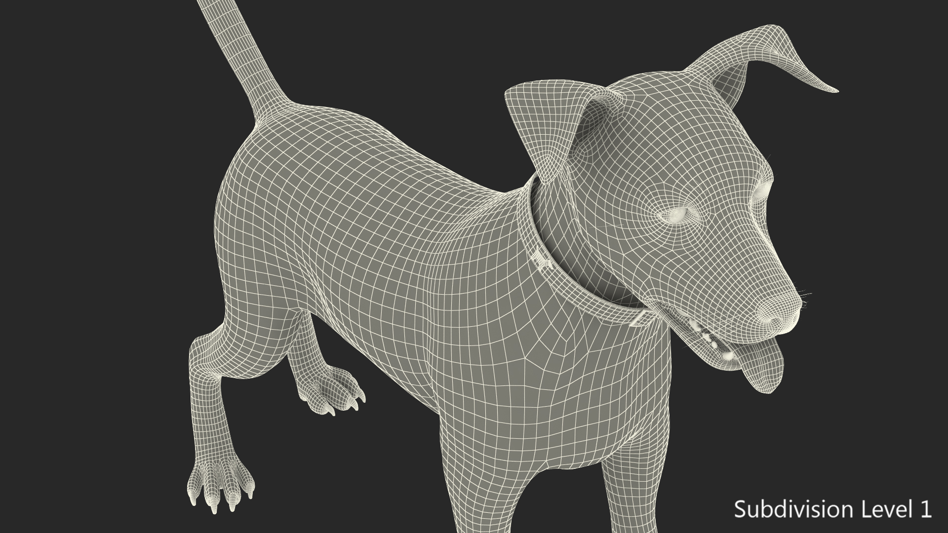 3D Spotted Jack Russell Terrier Attention Pose model