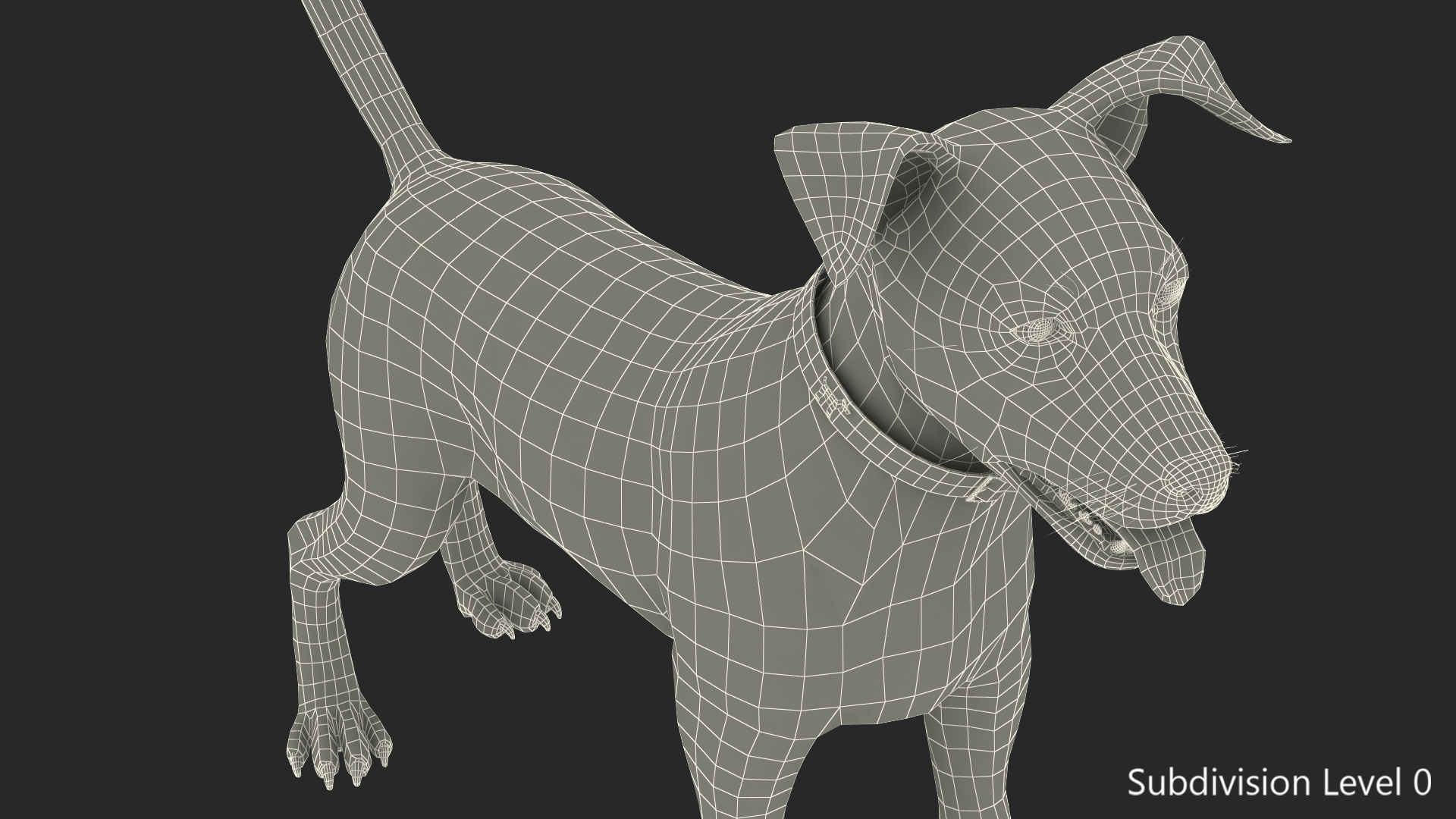 3D Spotted Jack Russell Terrier Attention Pose model