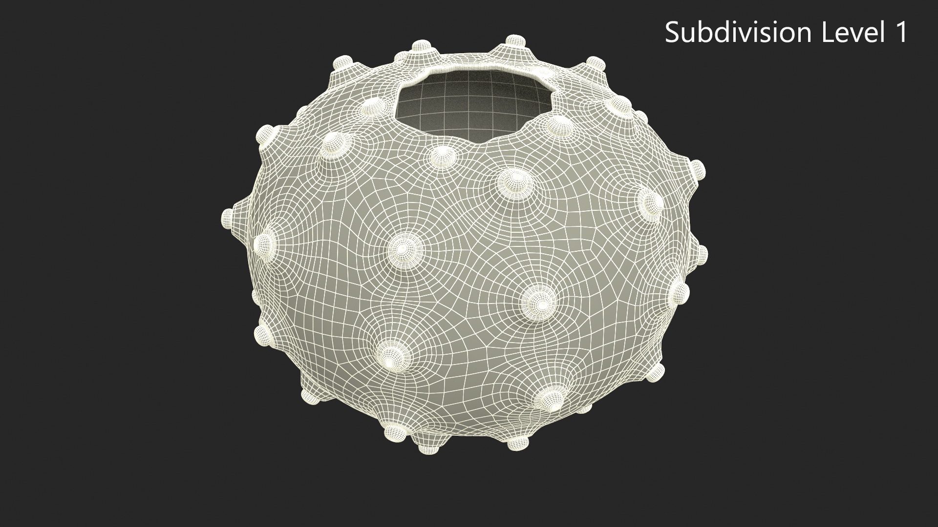 3D Purple Sputnik Sea Urchin Shell
