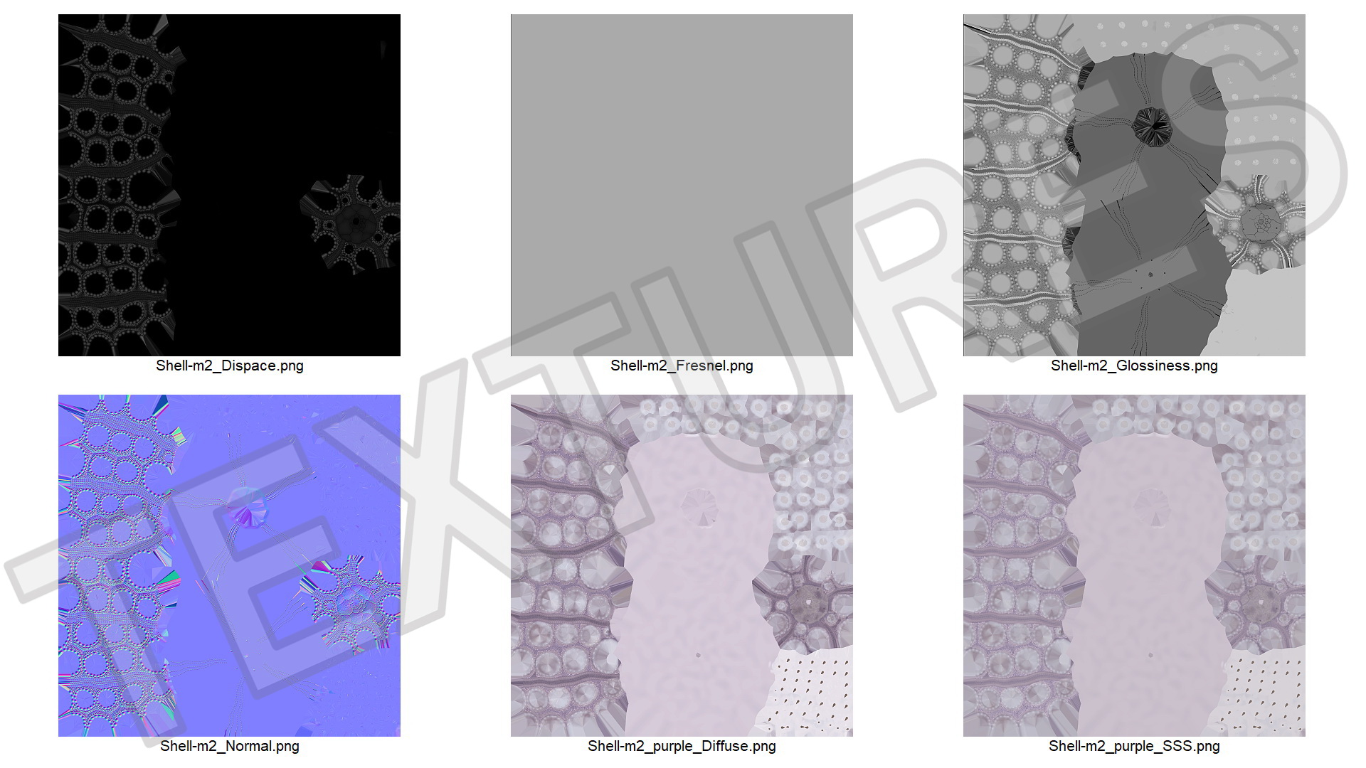 3D Purple Sputnik Sea Urchin Shell