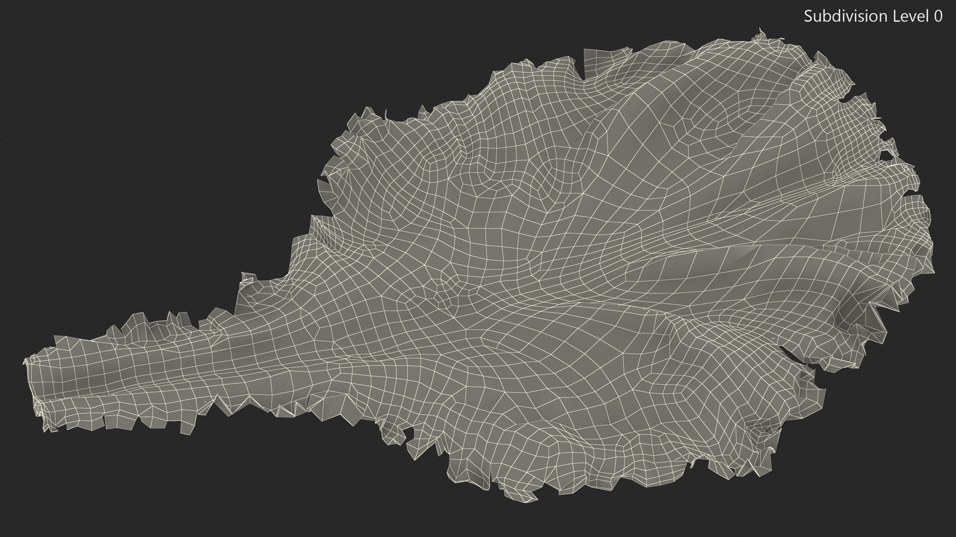 Realistic Lettuce Leaf 3D