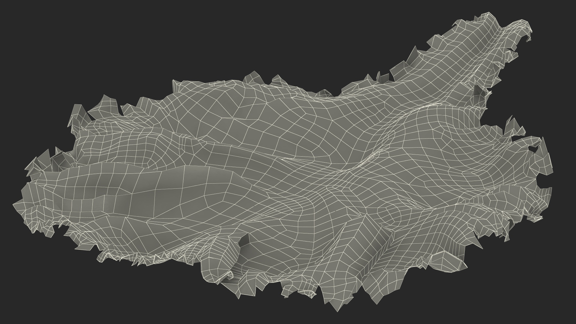 Realistic Lettuce Leaf 3D