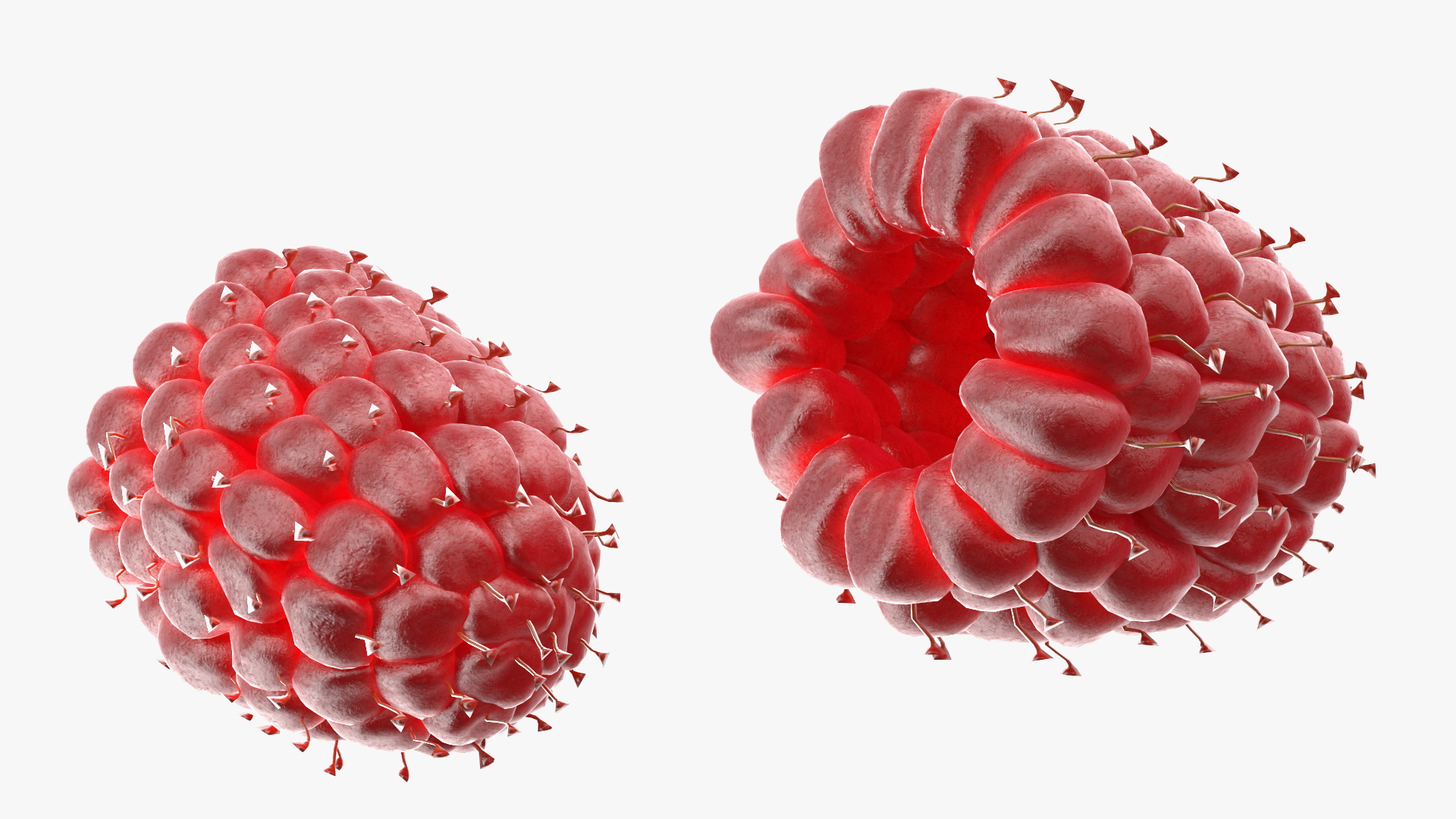 Raspberries in Bowl 3D model