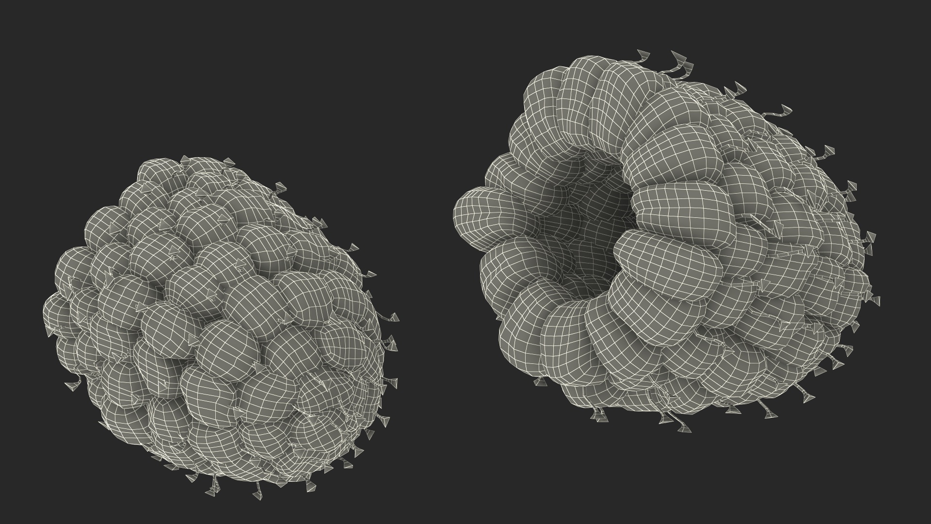 Raspberries in Bowl 3D model