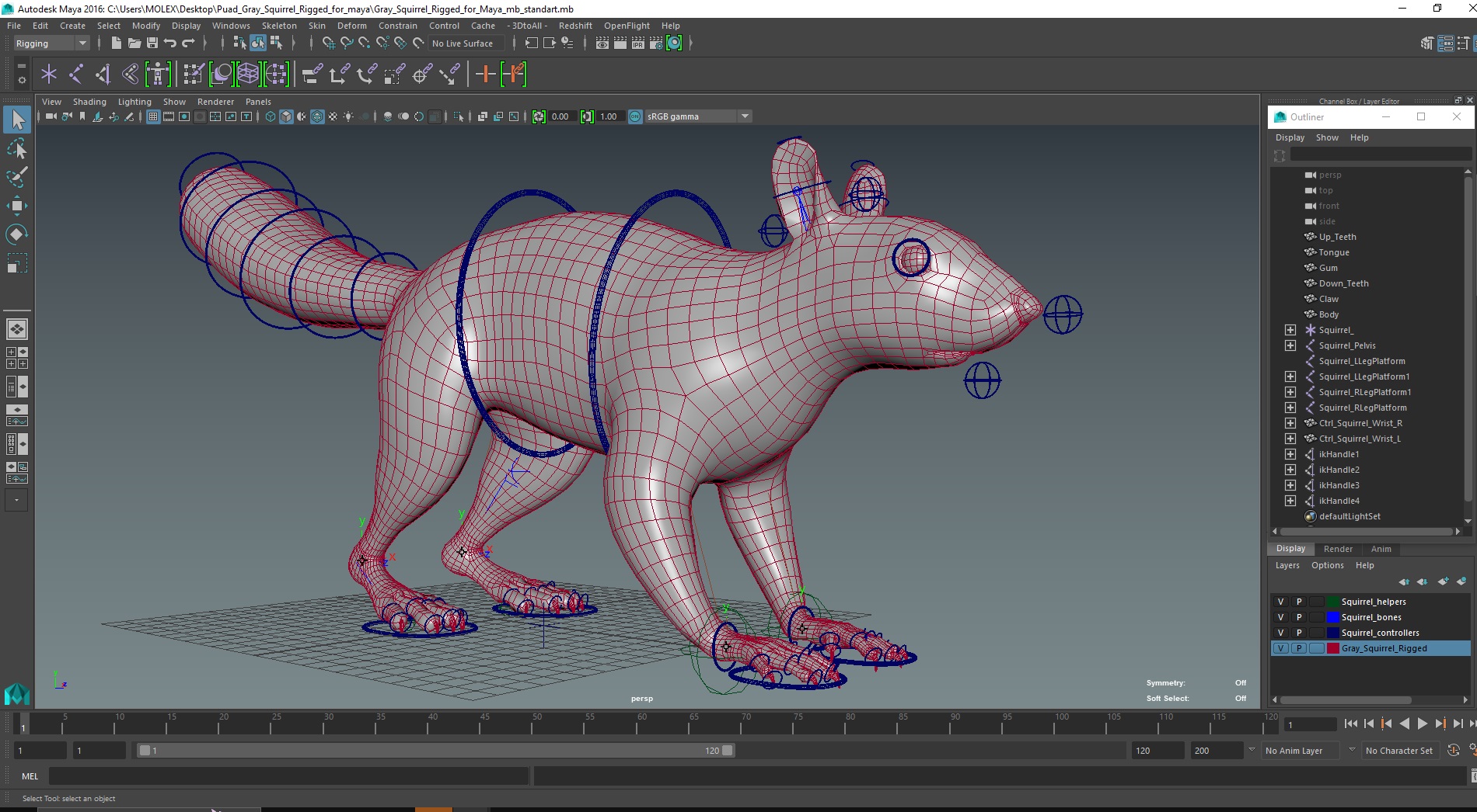 Gray Squirrel Rigged for Maya 3D model