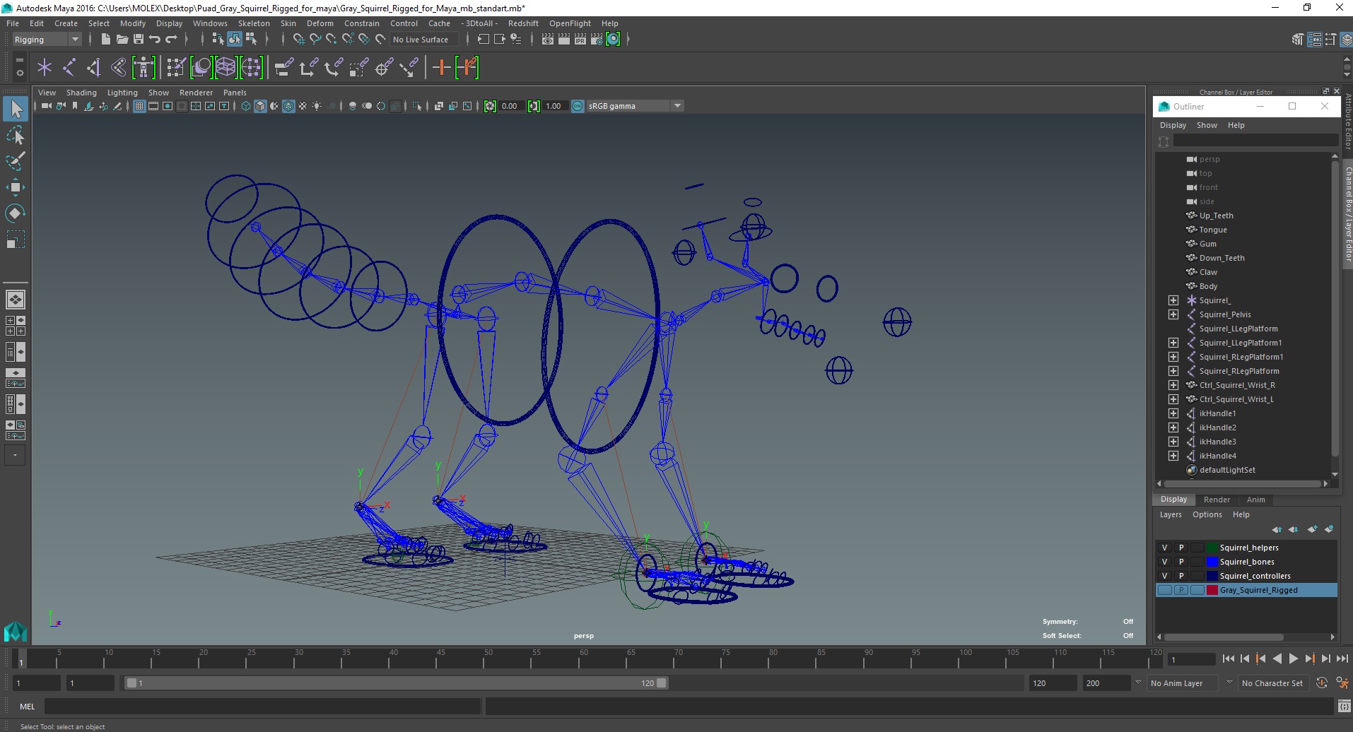 Gray Squirrel Rigged for Maya 3D model