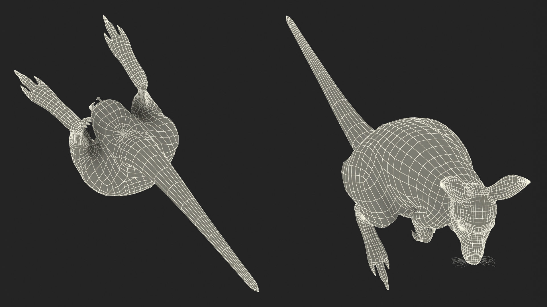 3D Mother Kangaroo with Baby Standing Fur model
