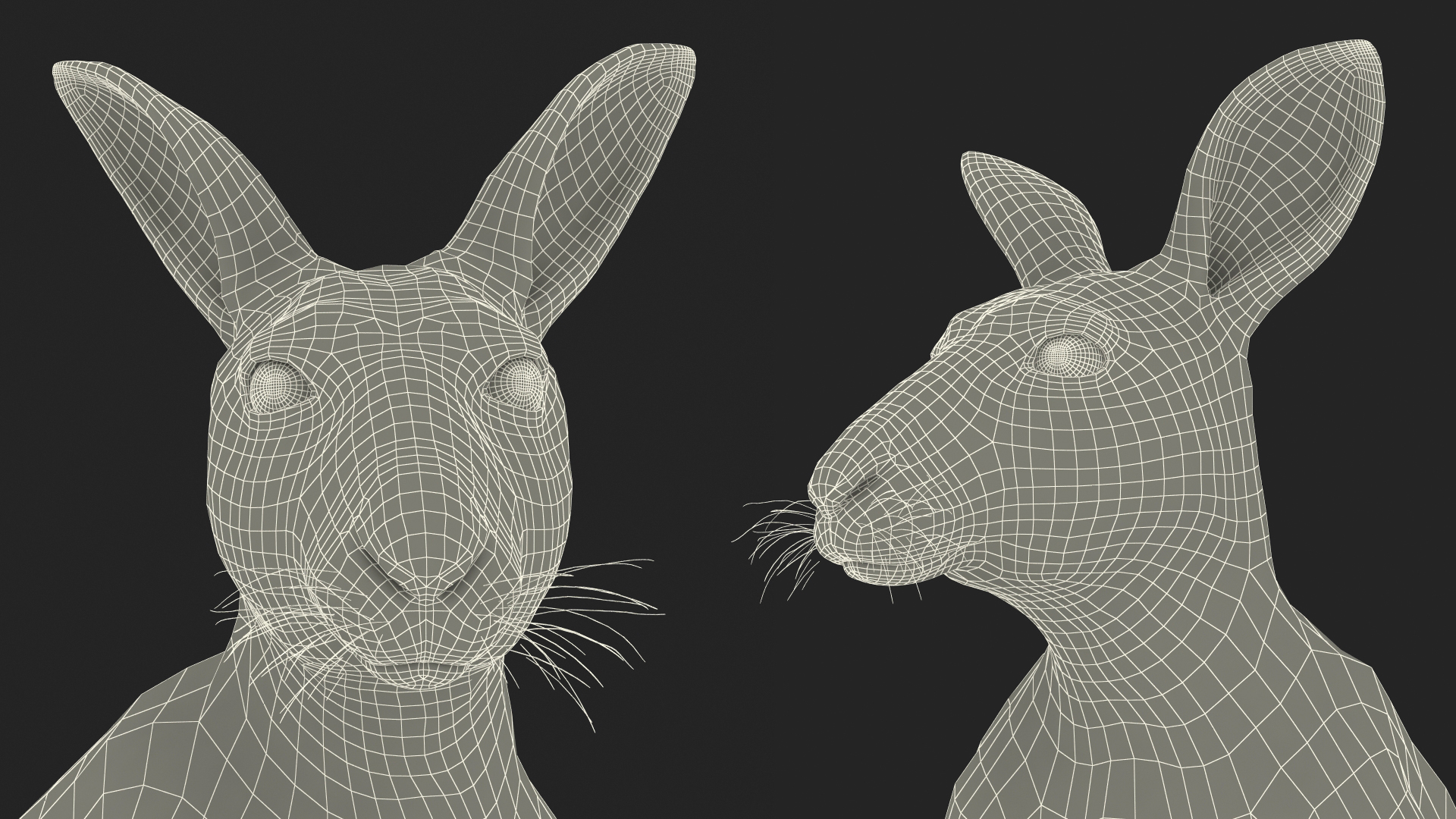 3D Mother Kangaroo with Baby Standing Fur model
