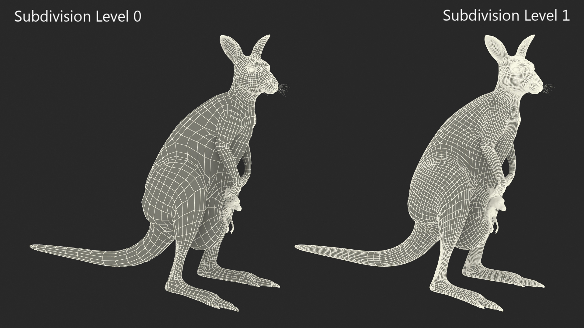 3D Mother Kangaroo with Baby Standing Fur model