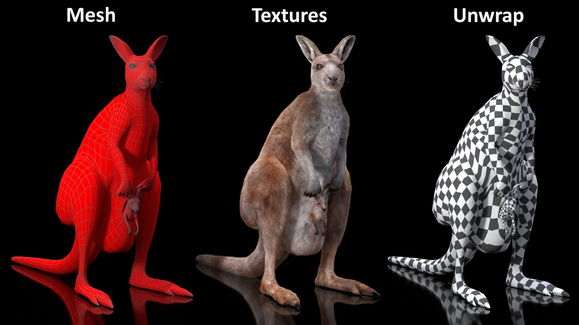 3D Mother Kangaroo with Baby Standing Fur model