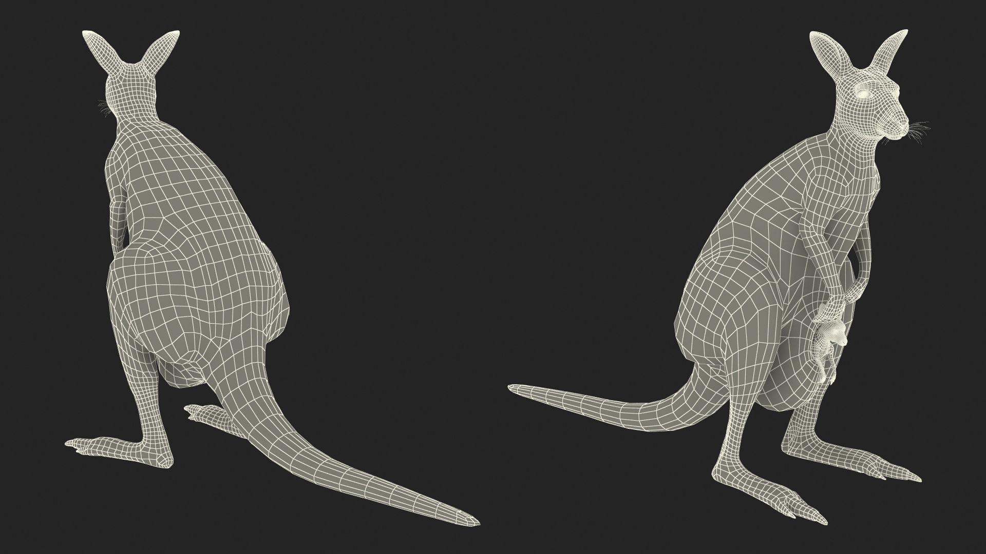 3D Mother Kangaroo with Baby Standing Fur model