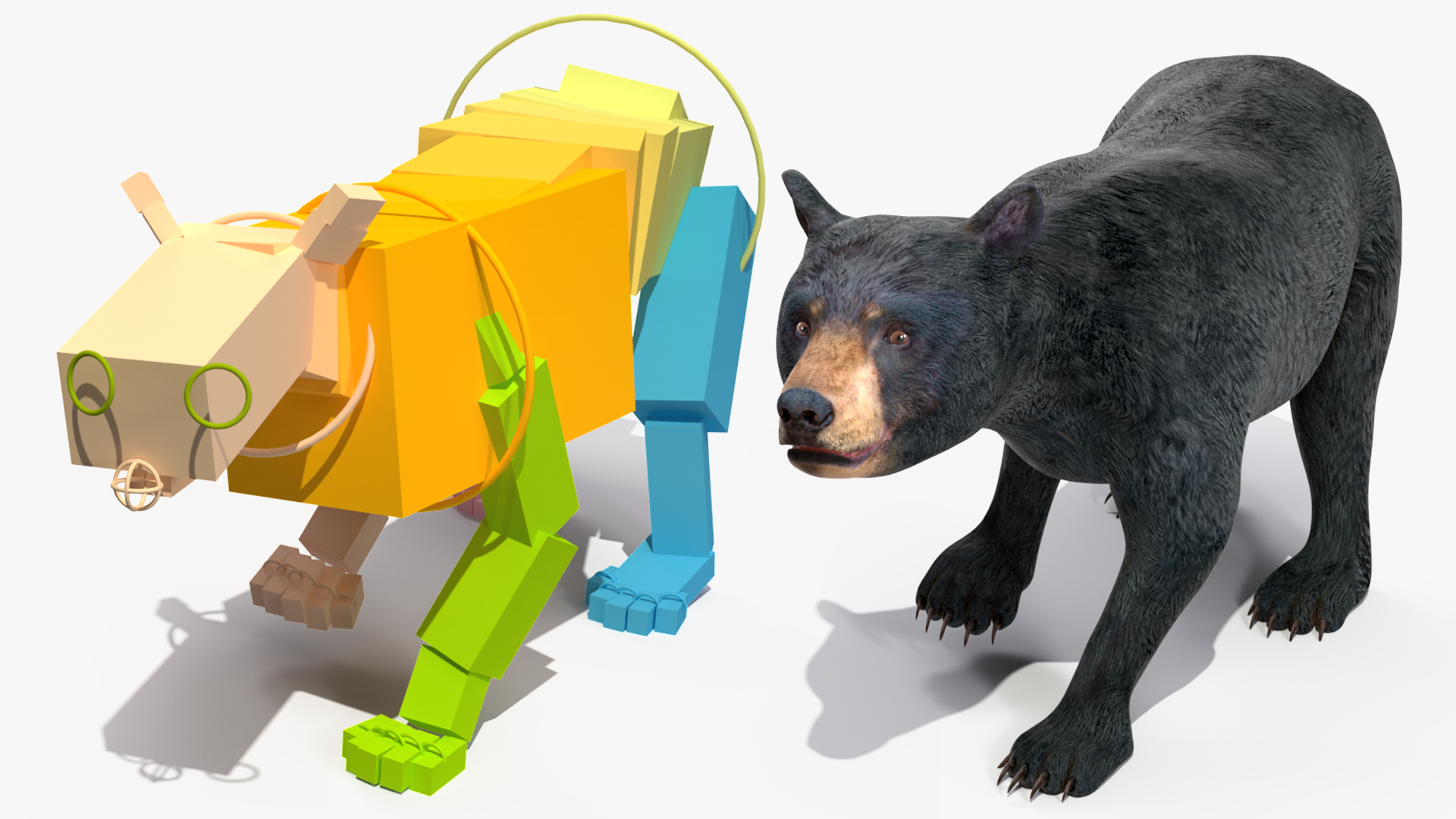 Young Black Bear Rigged for Cinema 4D 3D