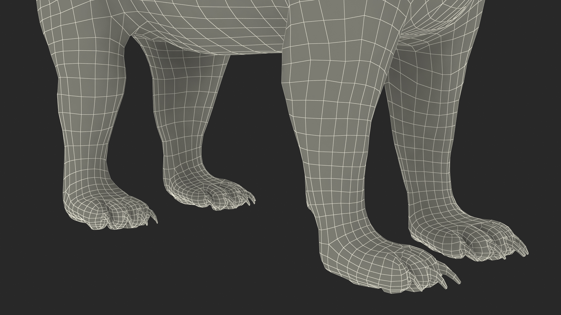 Young Black Bear Rigged for Cinema 4D 3D