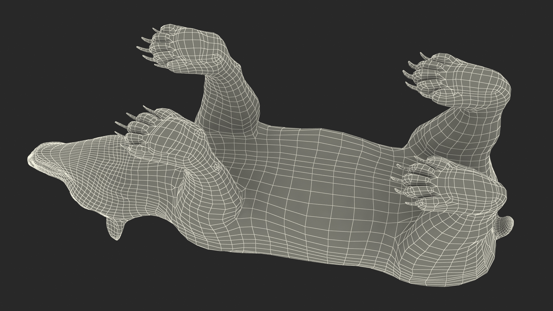 Young Black Bear Rigged for Cinema 4D 3D