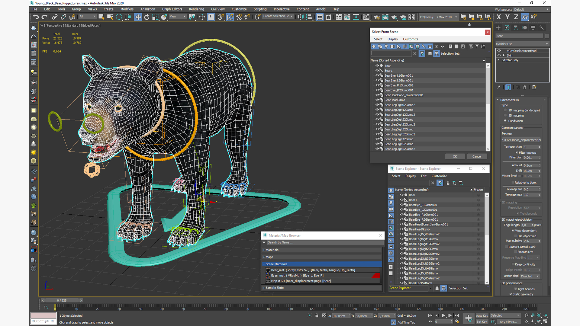 Young Black Bear Rigged for Cinema 4D 3D