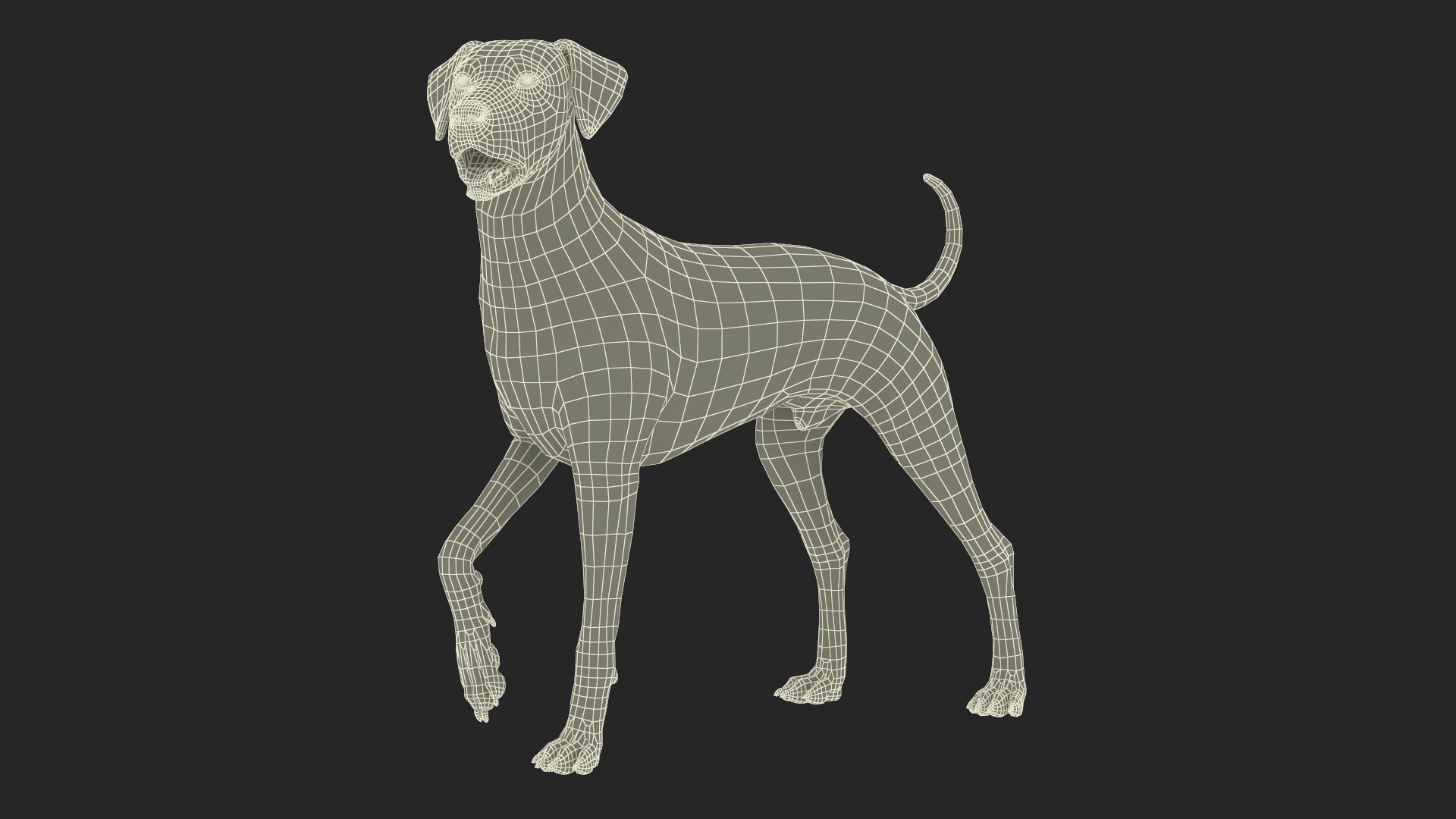 3D model Spotted Standing Dalmatian Dog