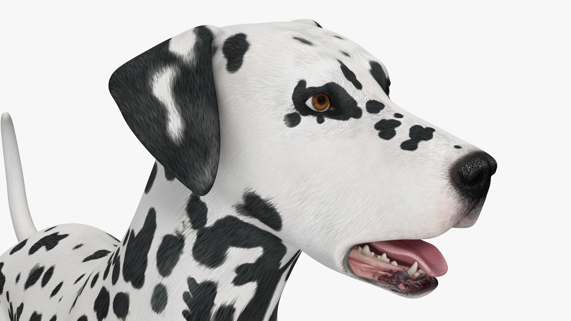 3D model Spotted Standing Dalmatian Dog