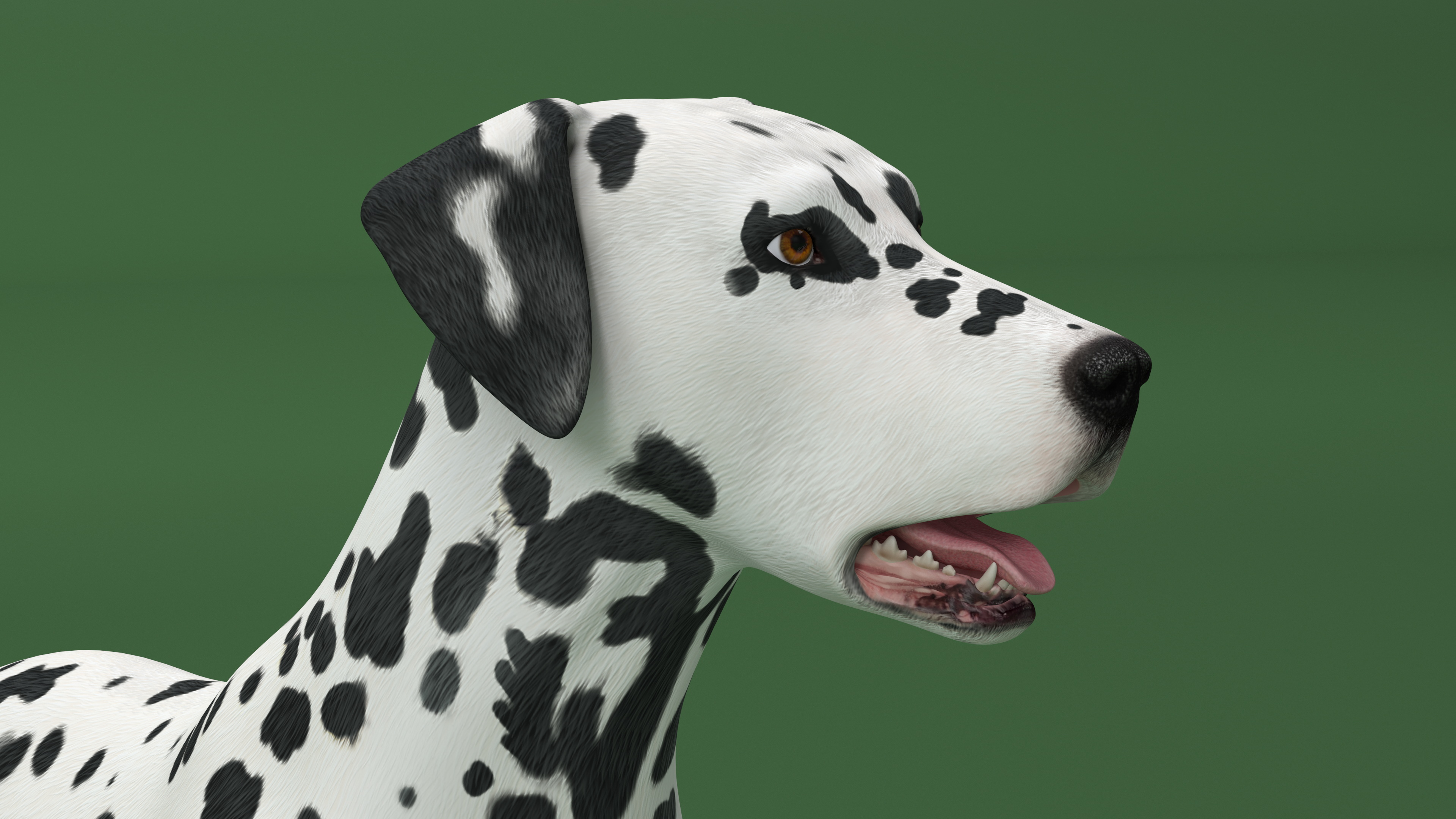 3D model Spotted Standing Dalmatian Dog