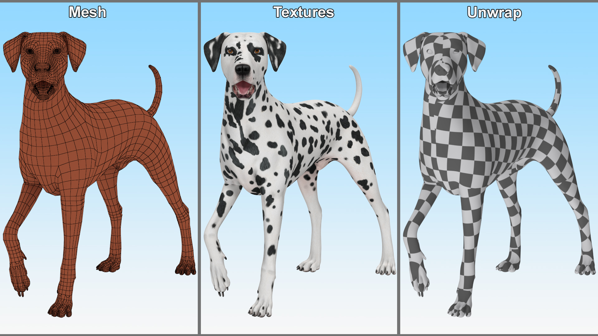 3D model Spotted Standing Dalmatian Dog
