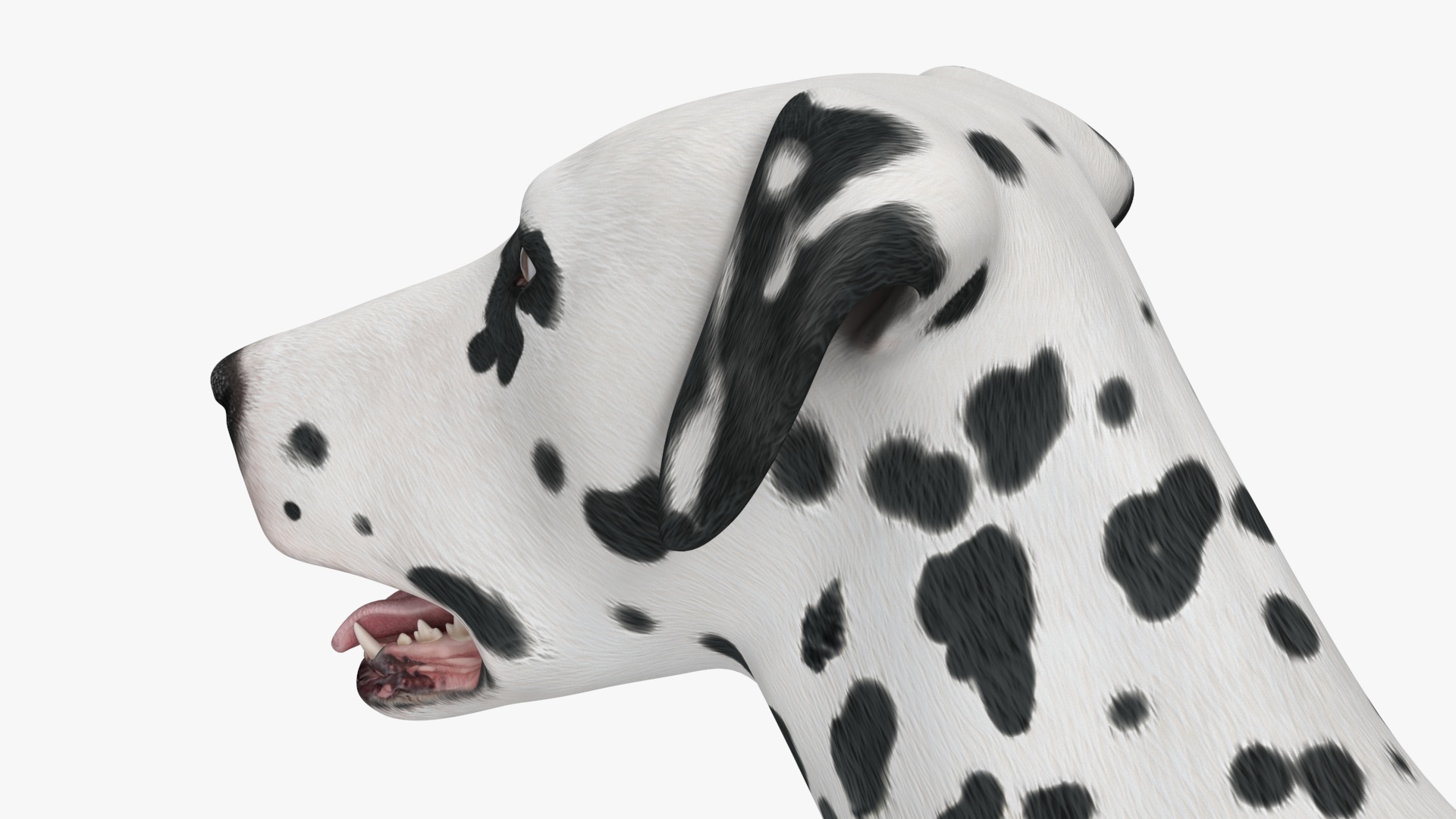 3D model Spotted Standing Dalmatian Dog