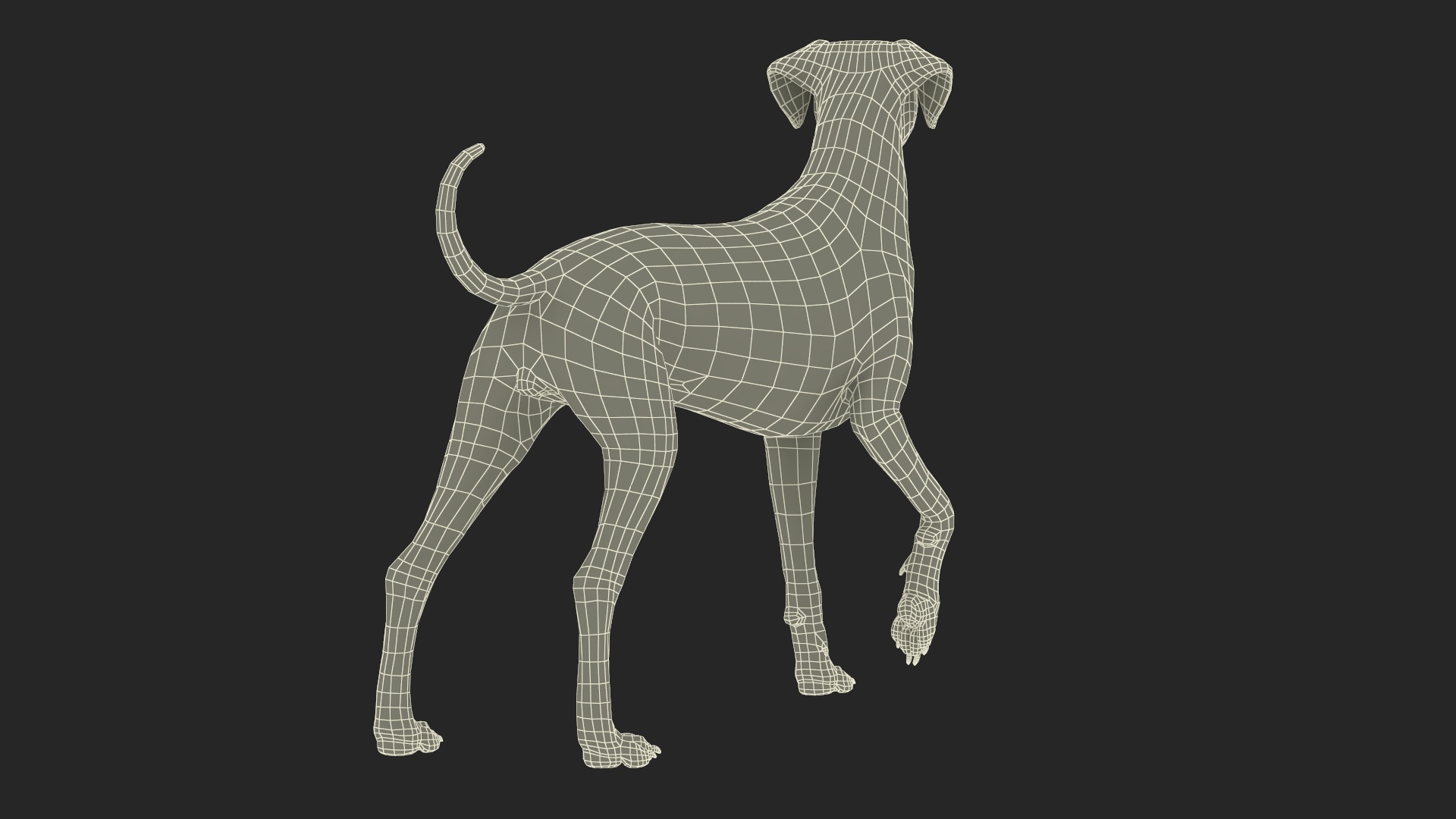 3D model Spotted Standing Dalmatian Dog