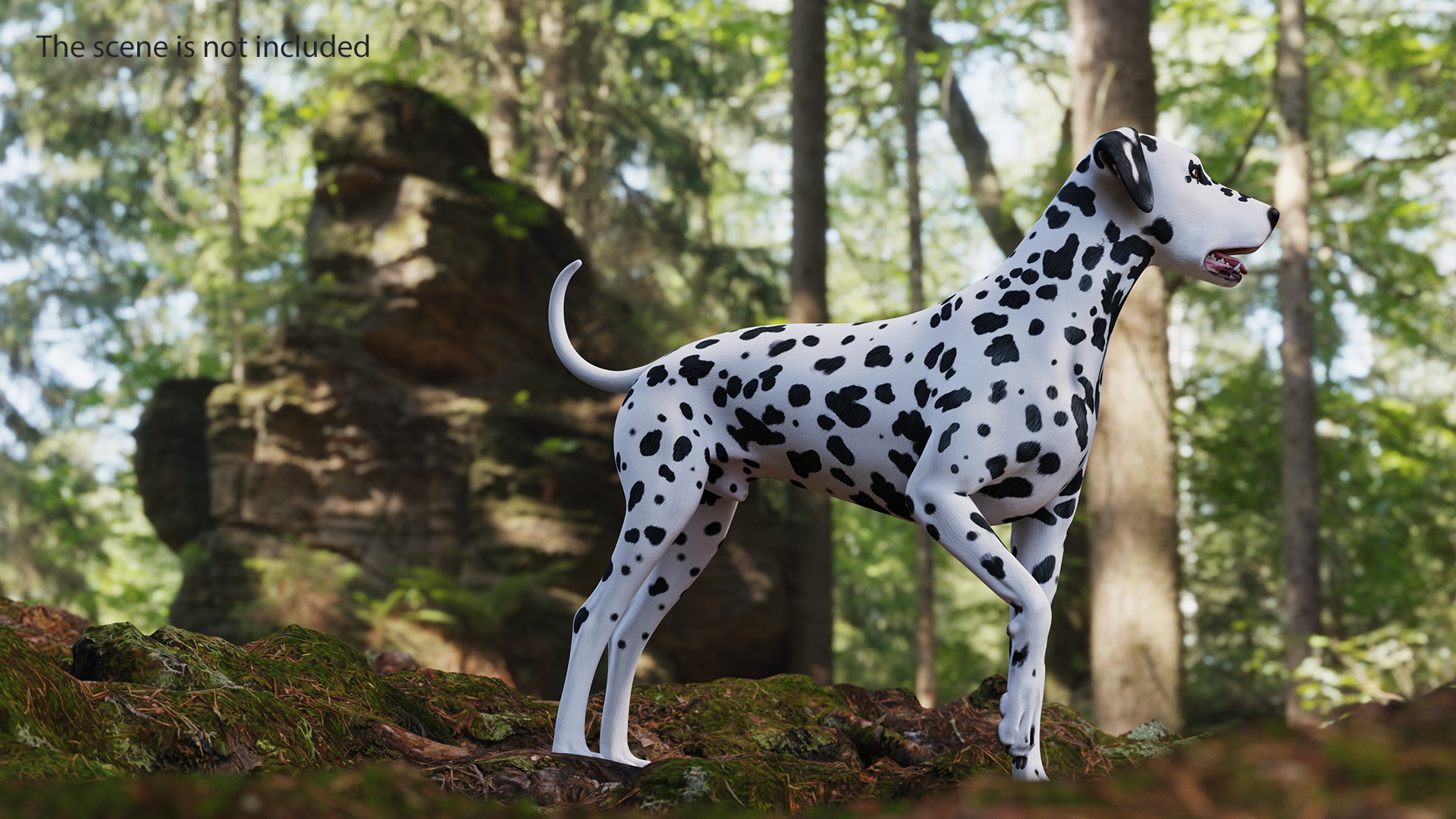 3D model Spotted Standing Dalmatian Dog