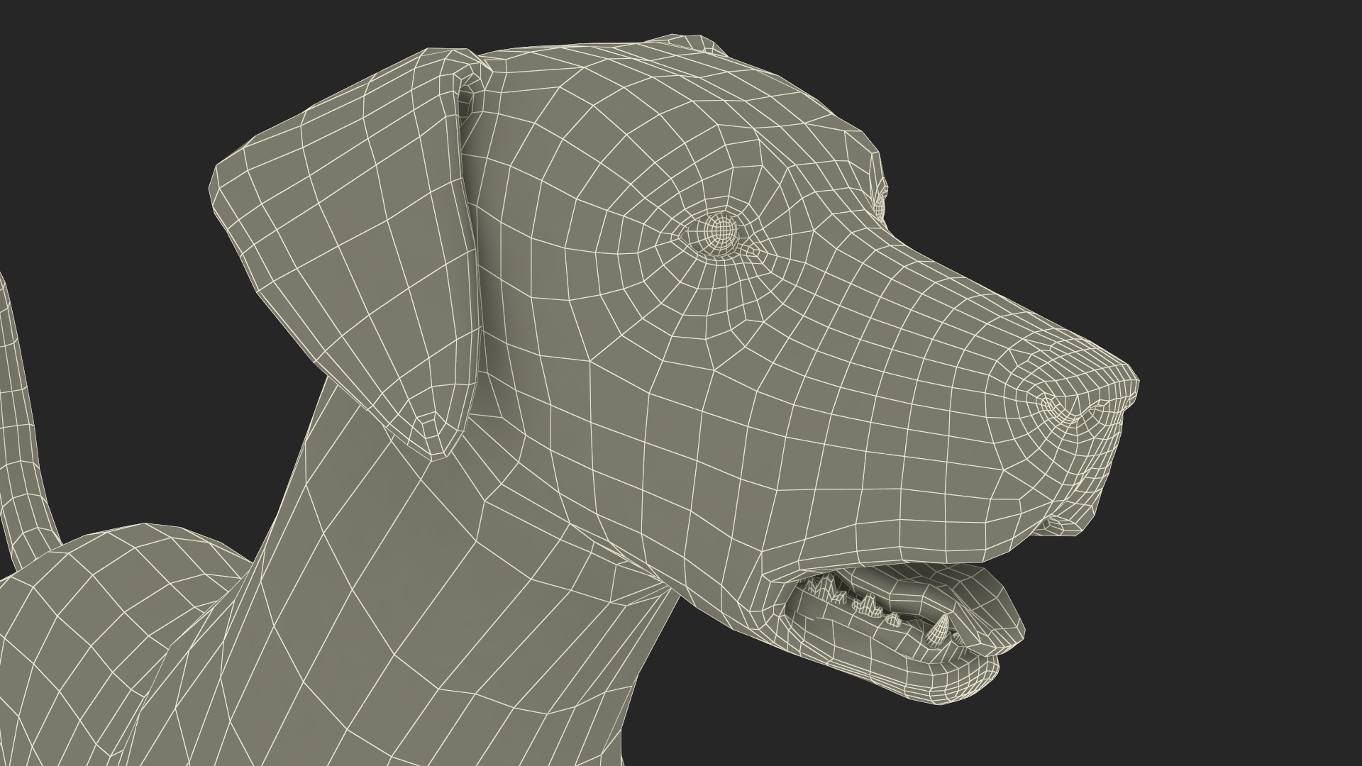 3D model Spotted Standing Dalmatian Dog
