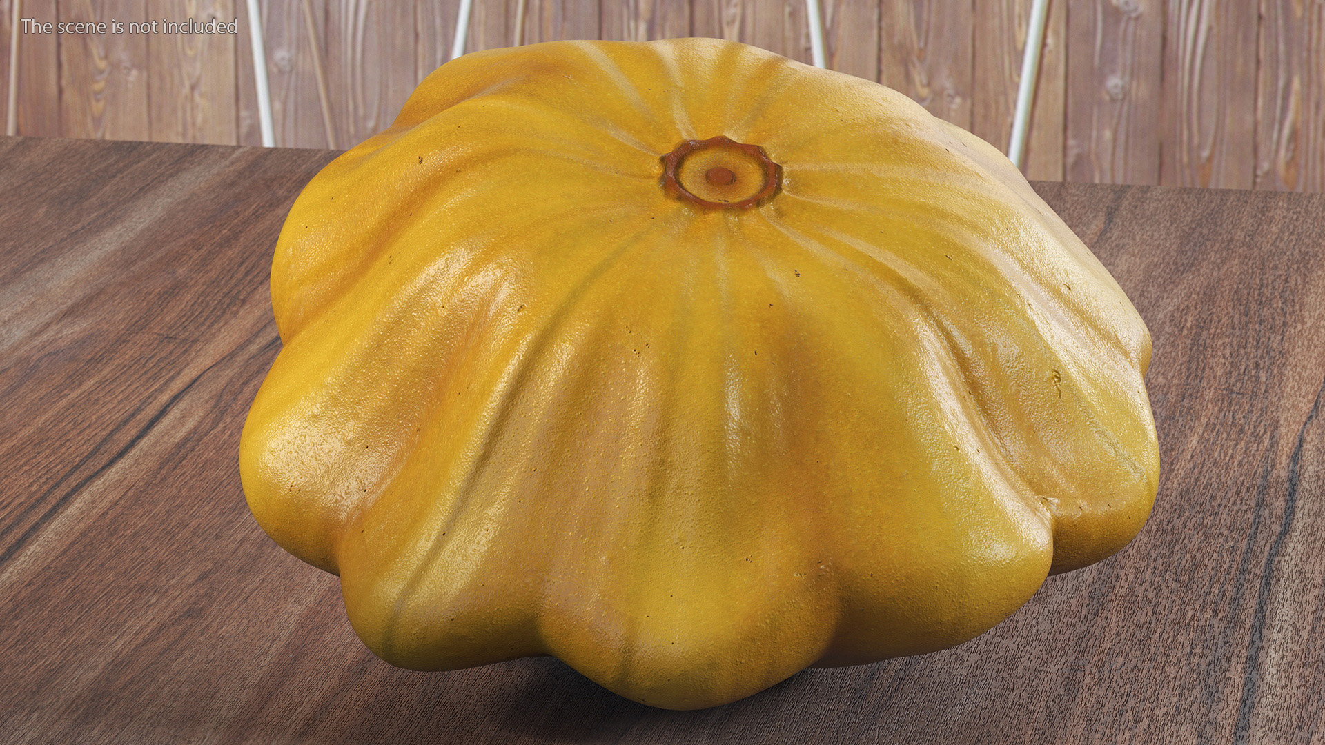 3D model Orange Color Bush Pumpkin