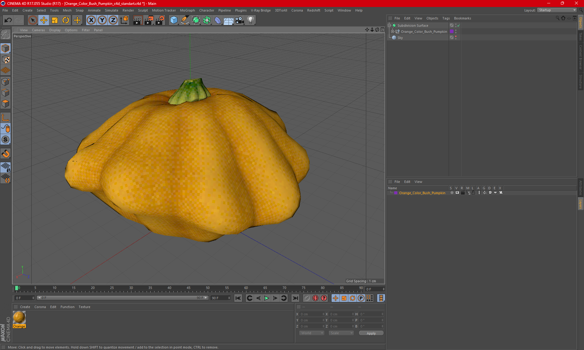 3D model Orange Color Bush Pumpkin